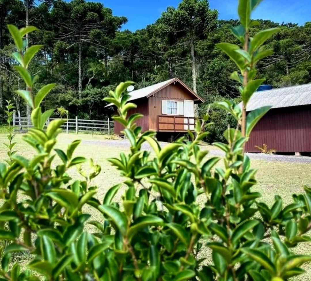 Encanto Das Araucarias Cambará エクステリア 写真